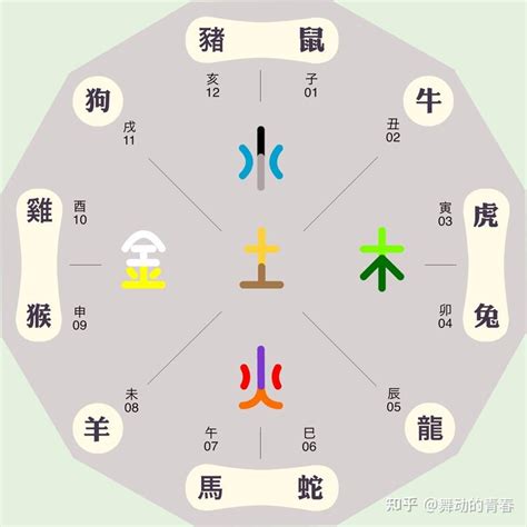 十二生肖五行表 狂刺金琥